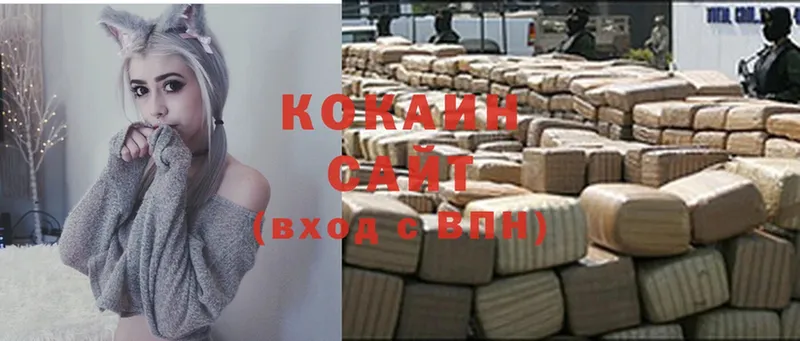 МЕГА зеркало  где купить наркоту  Алатырь  COCAIN FishScale 